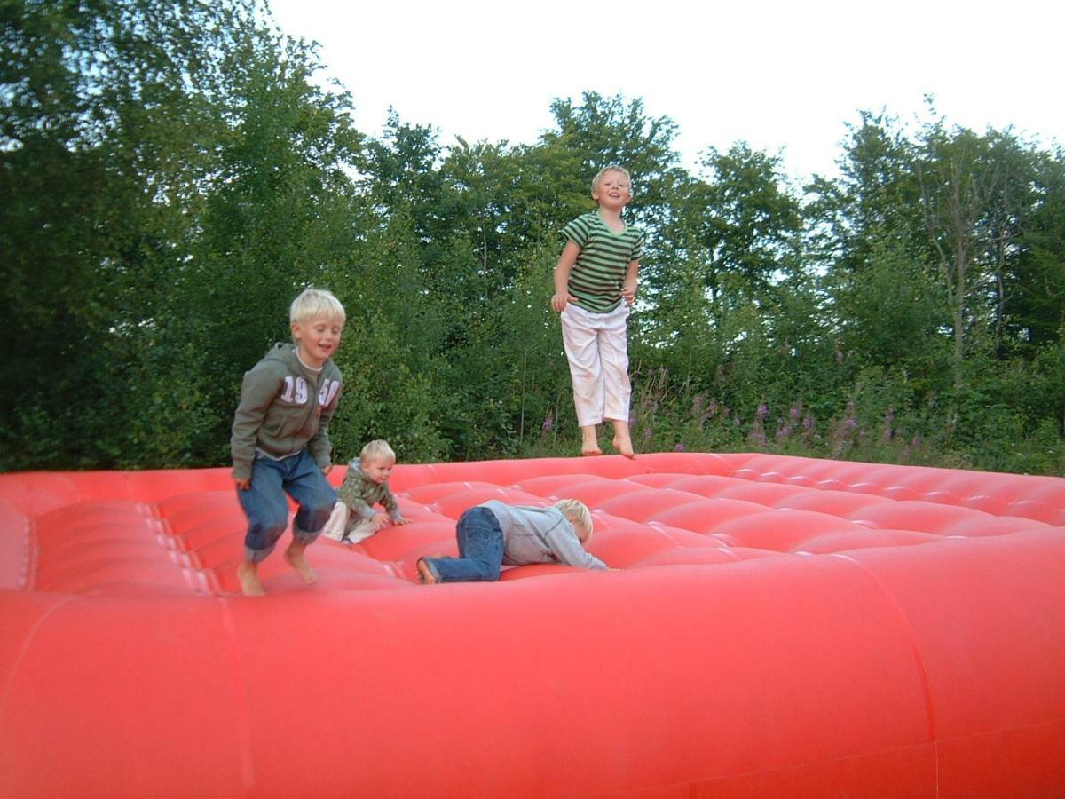 Torne - Kano & Fiskecamp Grimslov